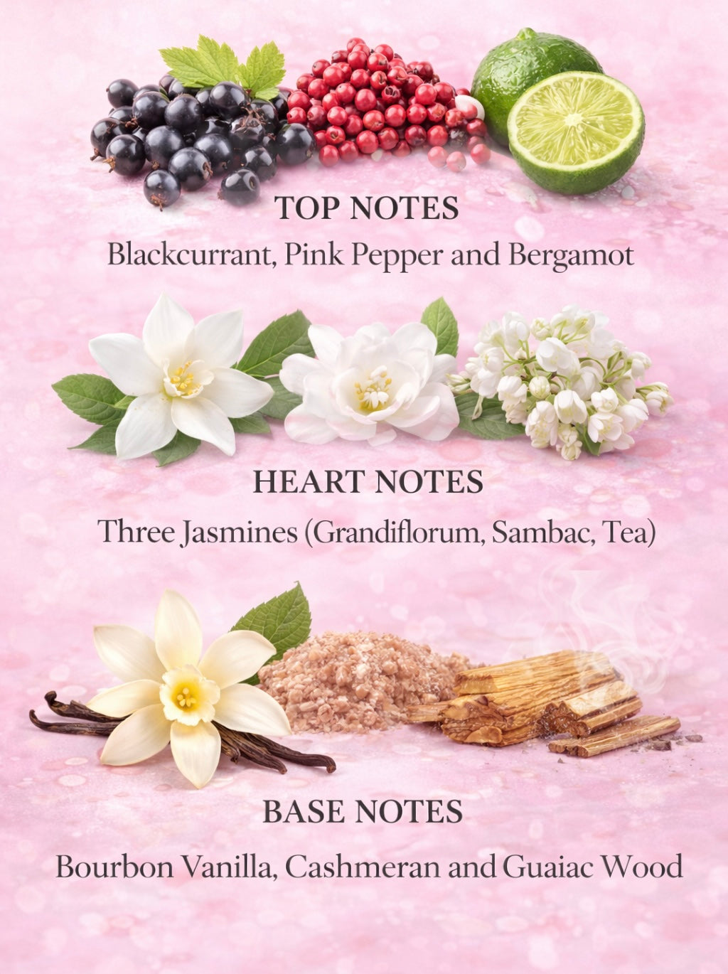 Fragrance note chart showing blackcurrant, pink pepper, and bergamot top notes, jasmine heart notes, and bourbon vanilla, cashmeran, and guaiac wood base notes on a soft pink background