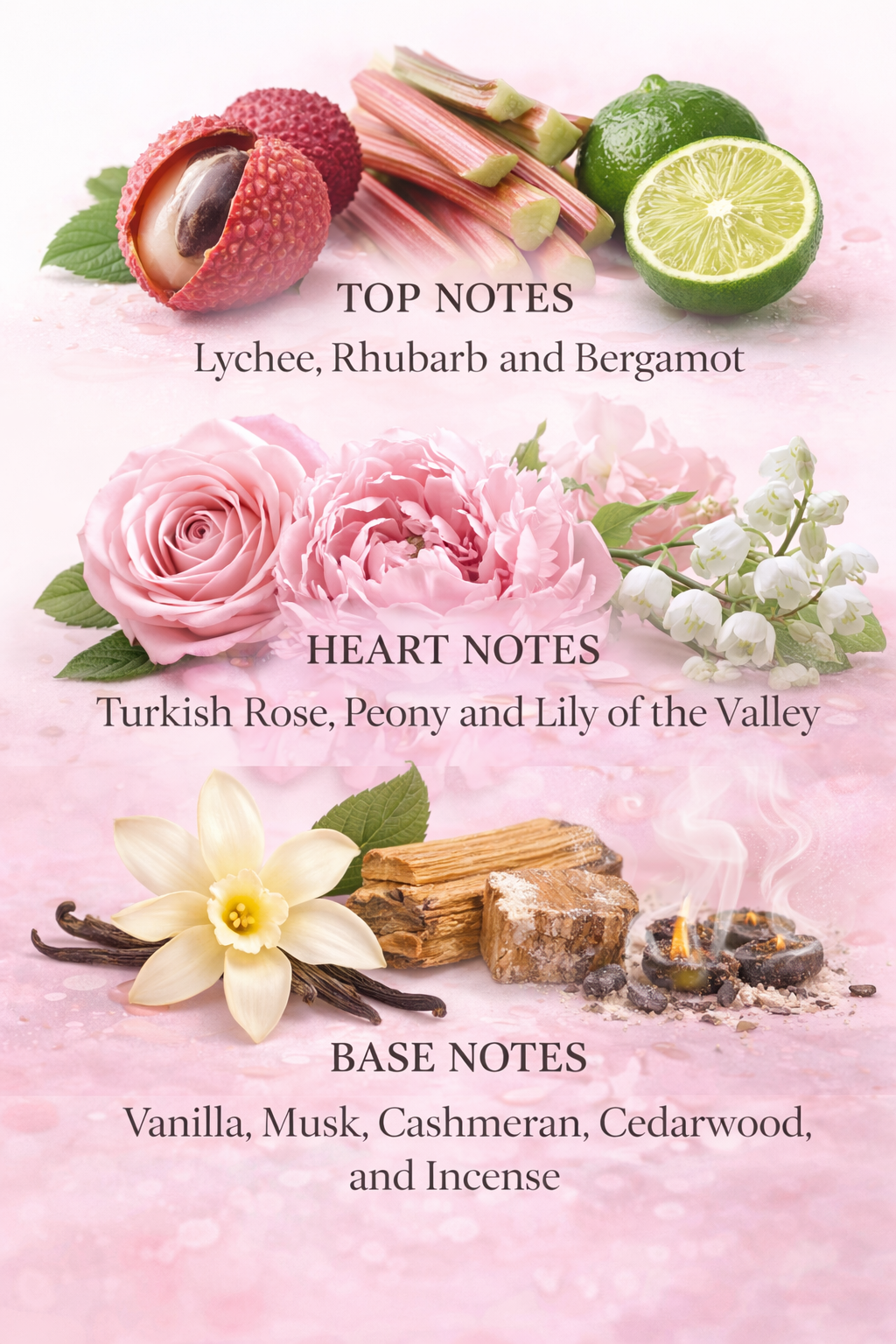 Fragrance note chart showing lychee, rhubarb, and bergamot top notes, Turkish rose and peony heart notes, and vanilla, musk, cedarwood, and incense base notes on a soft pink background